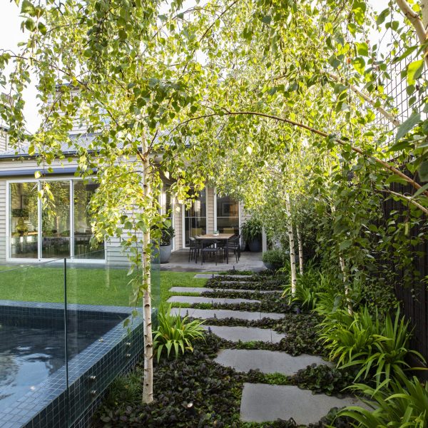 A modern backyard with a thoughtful garden design features a swimming pool, glass fencing, a paved stone pathway surrounded by greenery, and a dining table under a canopy of trees.