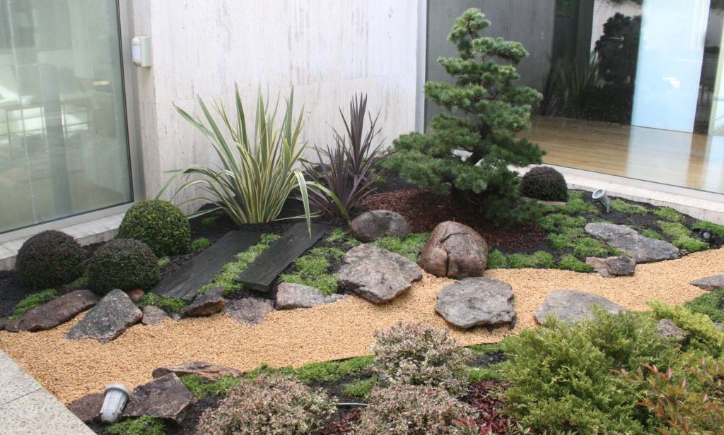 A small, zen-style garden design features a harmonious mix of rocks, gravel, green shrubs, and a delicate tree adjacent to the glass building exterior.