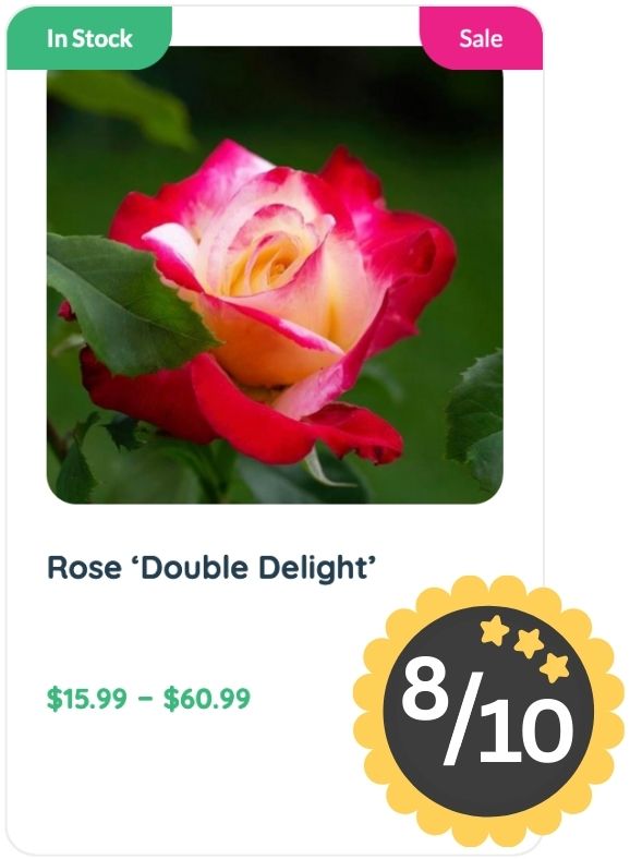 A Rose ‘Double Delight’ flower with red and yellow petals graces the product card, featuring its signature Rose Smell. On sale, in stock, and rated 8 out of 10, it's priced $15.99–$60.99.