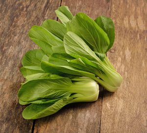 Two vibrant Pak Choi 'Green' plants in 4" pots sit on a wooden surface, their crisp green leaves and white stalks perfect for adding flavor and nutrition to your favorite recipes.
