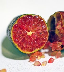 A halved Citrus Finger Lime 'Byron Sunrise' reveals its vibrant, pink caviar-like pulp spilling onto a white surface.