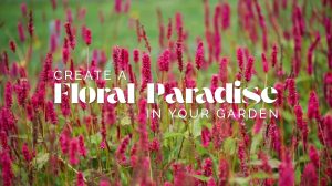 A field of tall pink autumn flowering plants with green stems, overlaid with the text: "Create a Floral Paradise in Your Garden.