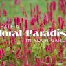 A field of tall pink autumn flowering plants with green stems, overlaid with the text: "Create a Floral Paradise in Your Garden.