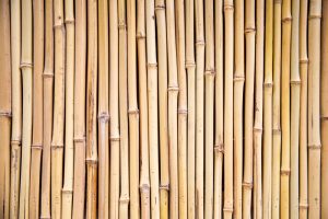A close-up of vertically arranged Garden Stake Bamboo, each 8-10mm thick and 75cm long, creating a natural wall or garden stake fence.