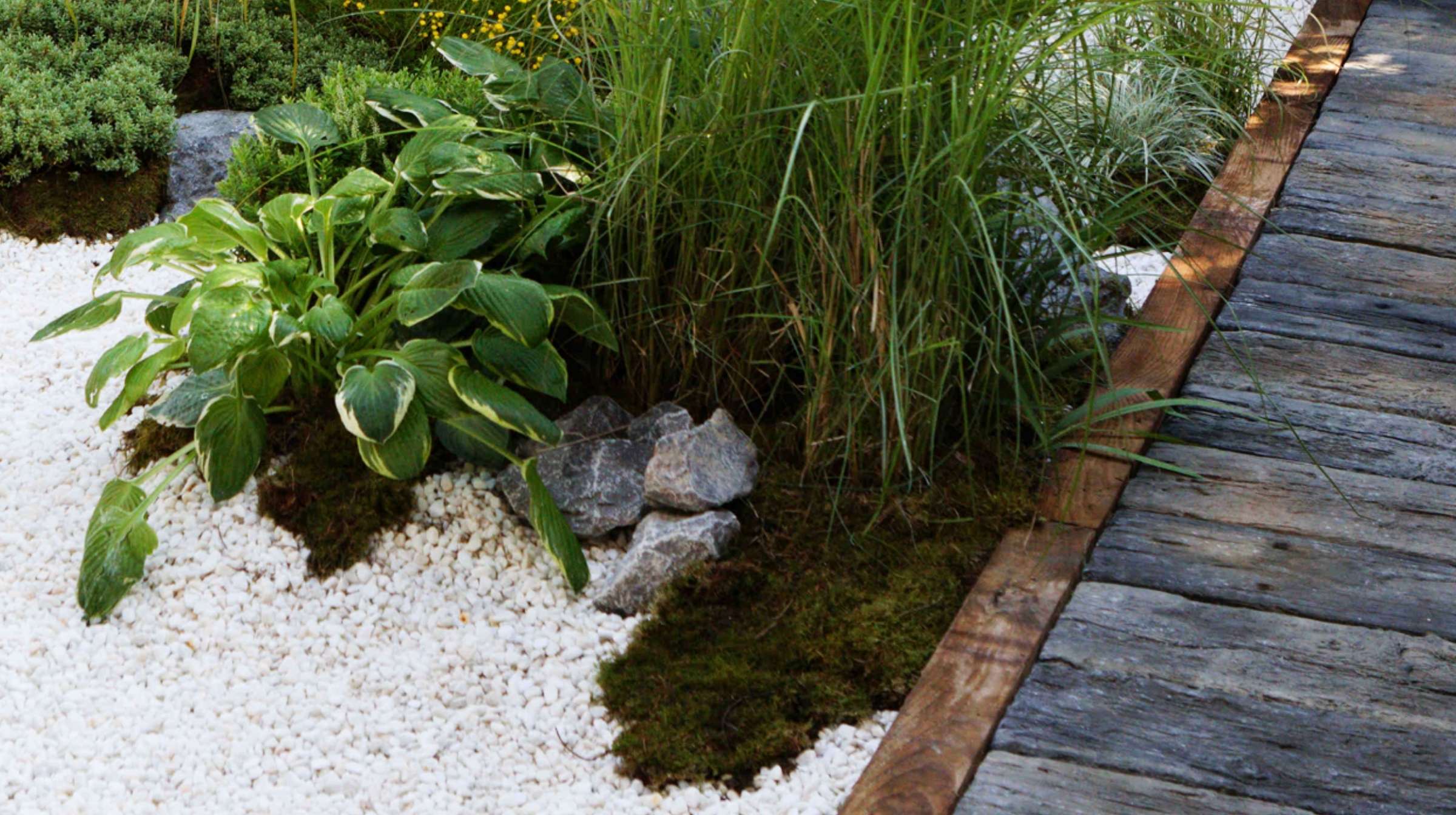 A wooden boardwalk borders a garden area with white gravel, green plants, rocks, and patches of moss, capturing the serene beauty of Japanese gardens.