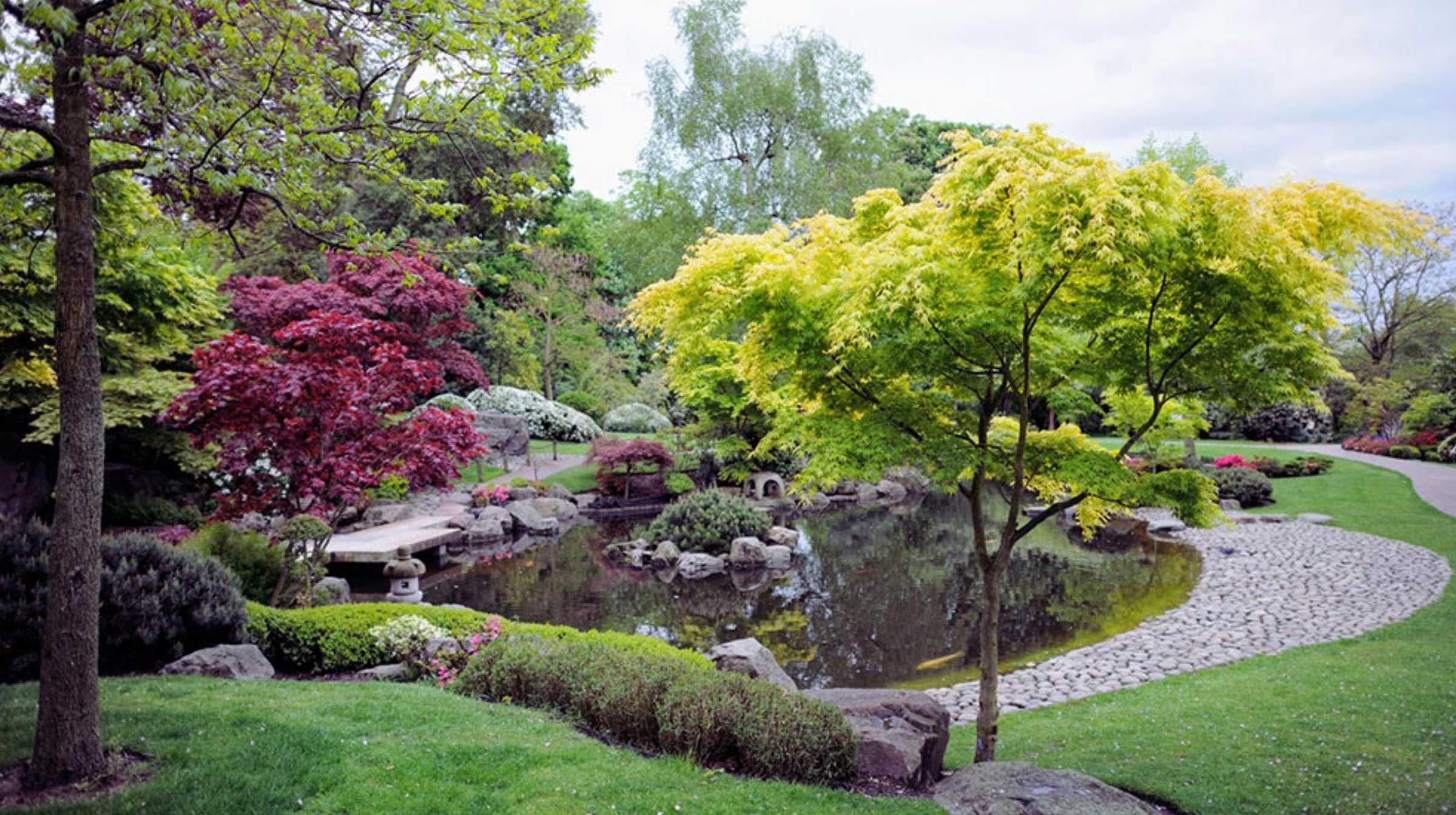 A landscaped garden with a pond, various trees in green and red foliage, trimmed bushes, and a stone path curving around the water showcases the beauty of Japanese gardens.