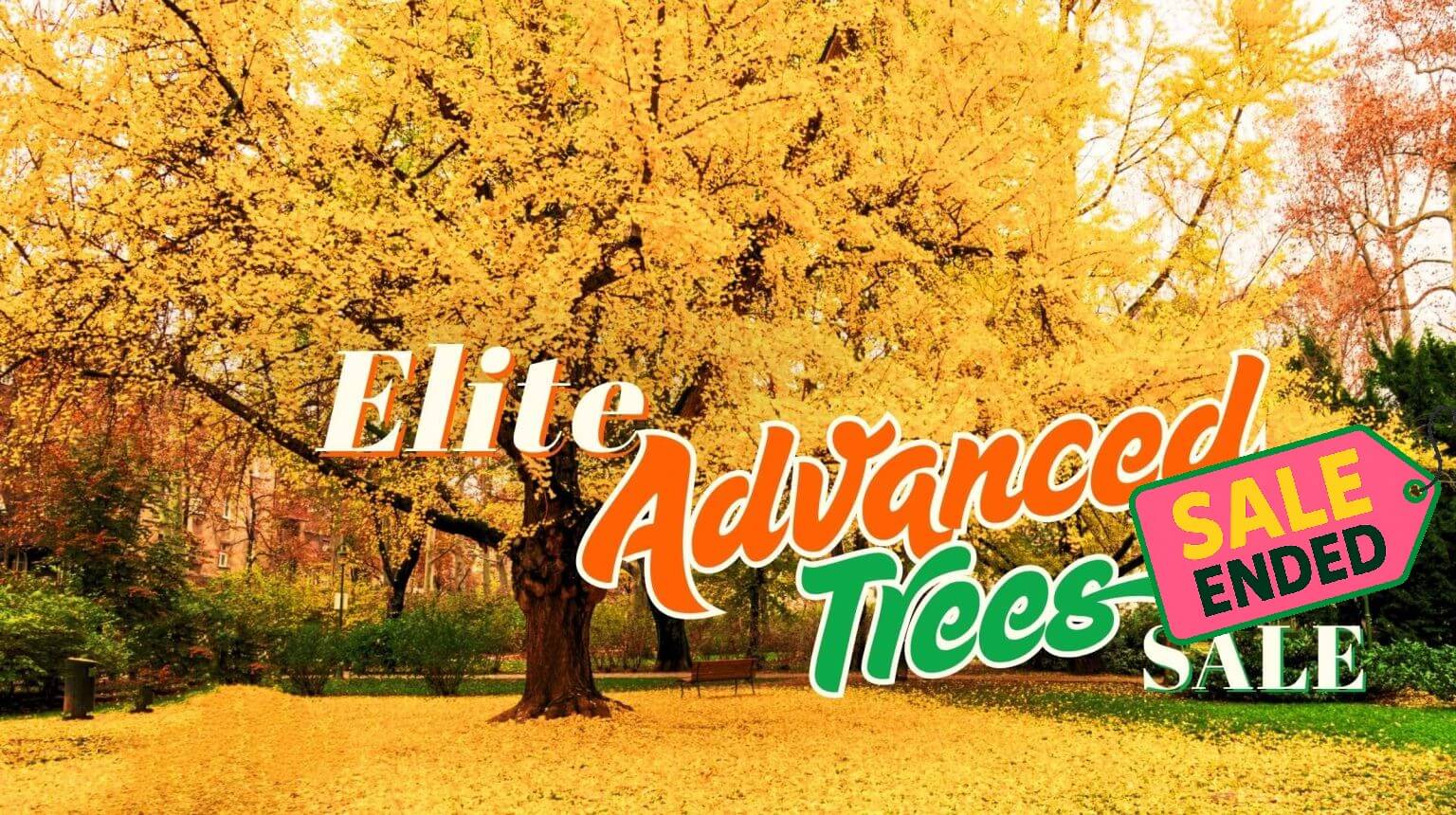 Large ginkgo tree with yellow autumn leaves in a park; overlaid text reads "Elite Advanced Tree Sale," with a sticker stating "SALE ENDED.