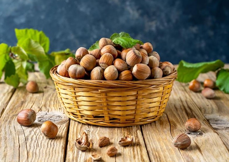 A Corylus 'Hall's Giant' Hazelnut 10" Pot sits on a wooden surface in a wicker basket, surrounded by scattered unshelled hazelnuts and leaves.