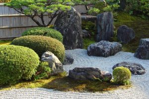 A traditional Japanese rock garden showcases the beauty of Japanese gardens with carefully arranged rocks, gravel, and manicured shrubs, bordered by a bamboo fence and pine tree.