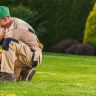 A gardener wearing work clothes and gloves trims bushes with pruning shears in a landscaped garden, ensuring to get the right plants for a thriving outdoor space.