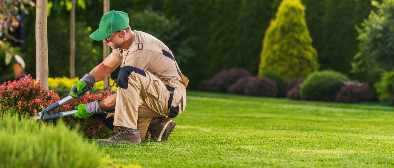 A gardener wearing work clothes and gloves trims bushes with pruning shears in a landscaped garden, ensuring to get the right plants for a thriving outdoor space.