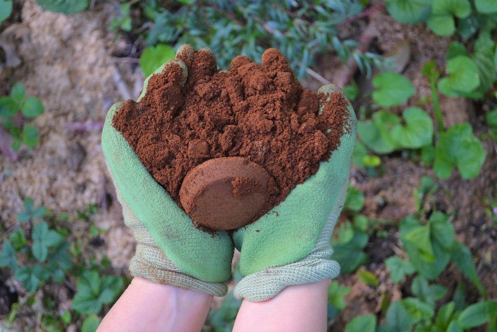 Hands wearing green gloves hold a pile of brown coffee grounds with a compressed coffee puck, surrounded by plants in a garden—showcasing clever Garden Hacks for enriching your soil and boosting plant growth.