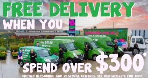Five green Hello Hello Plants delivery vans and staff are parked outdoors. Text advertises free delivery on orders over $300 in Metro Melbourne and regional centres.