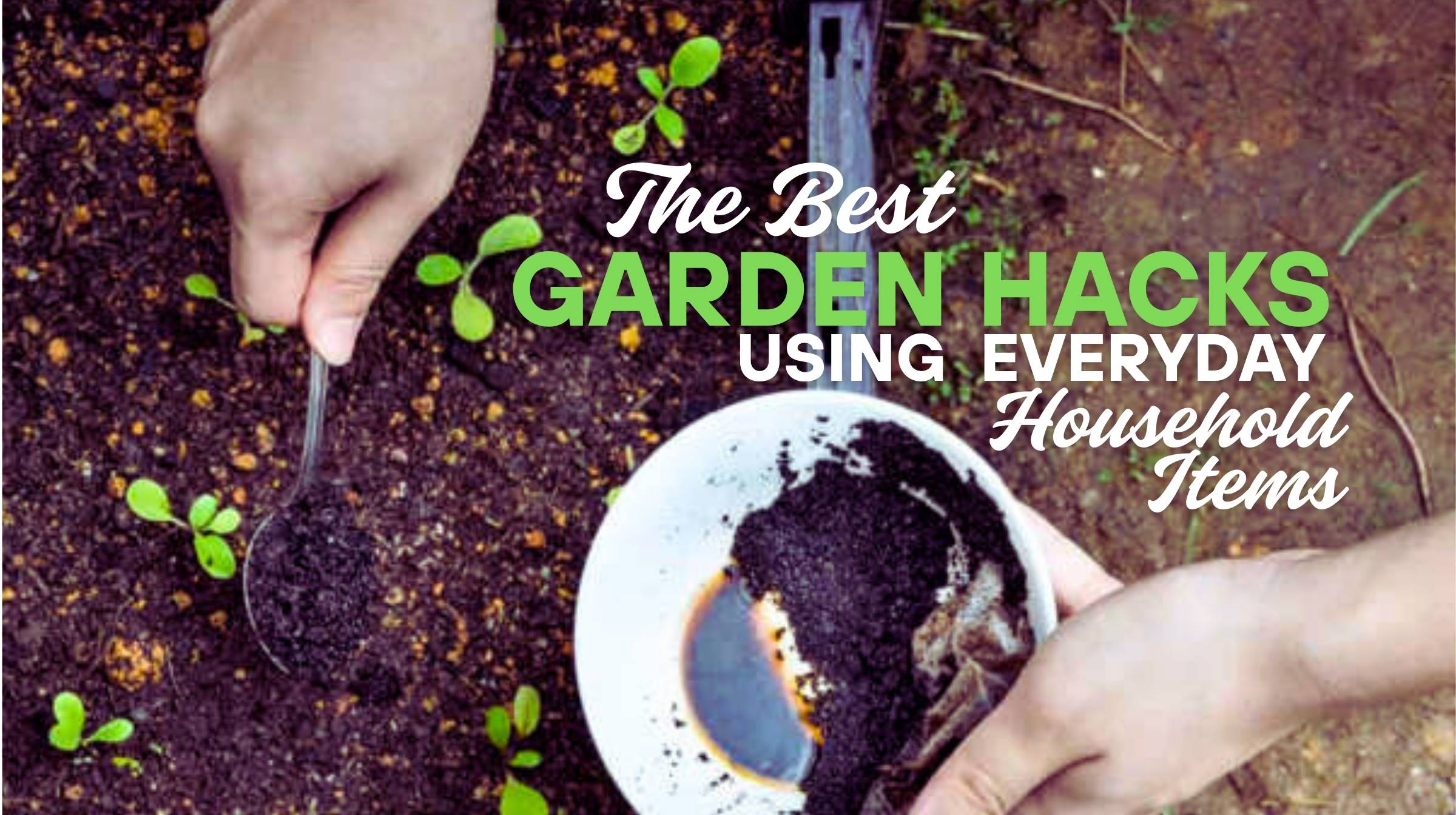 Hands adding coffee grounds from a bowl onto soil with seedlings, accompanied by the text "The Best Garden Hacks Using Everyday Household Items." Discover simple garden hacks to boost plant growth with things you already have at home.
