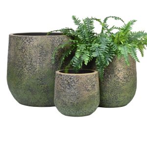 Three textured, moss-green ceramic pots in different sizes; the medium pot contains a leafy green fern.