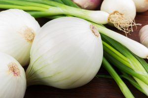 Allium 'White Onion' 4" Pot