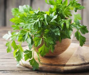 Parsley 'Italian Flat-Leaf' 4" Pot