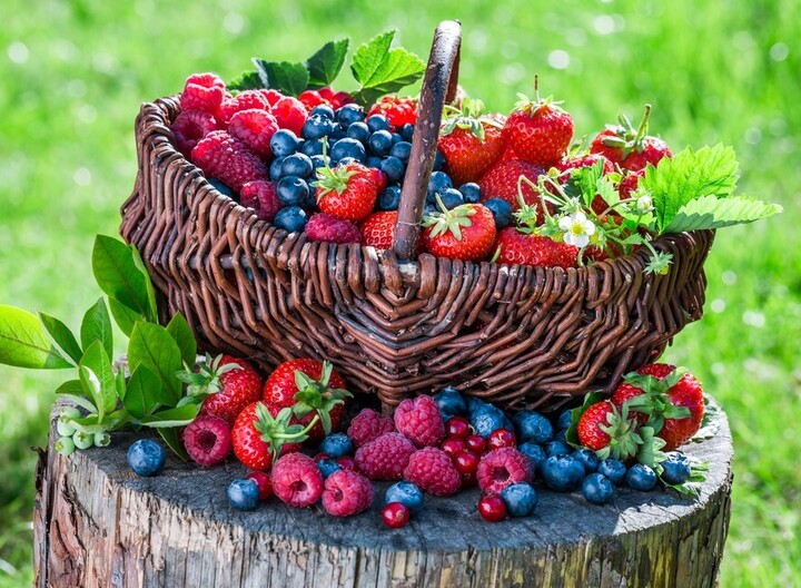 Berries & Currants