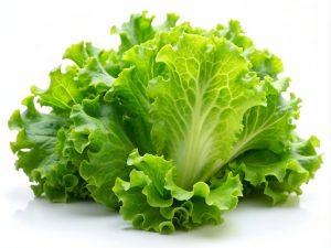 Lettuce 'Iceberg' 4" Pot