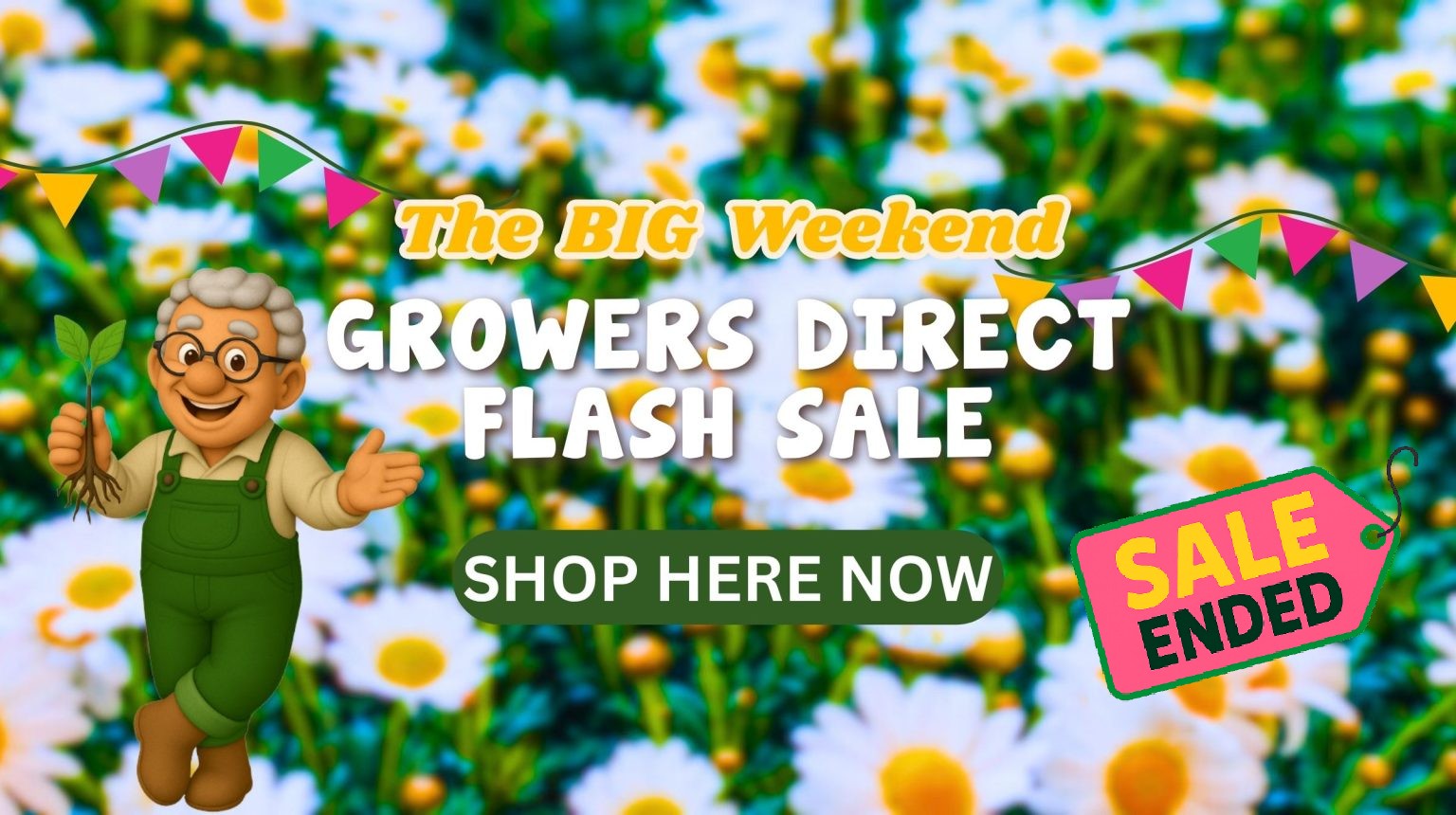 A cheerful cartoon gardener on a daisy field background promotes a Flash Sale with text stating "The BIG Weekend Growers Direct Flash Sale" and a prominent "SALE ENDED" sign.