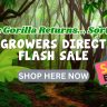 A jungle scene promotes a Flash Sale, with a cartoon gorilla holding a "Sale Ended" sign beside a banana plant; the "Shop Here Now" button invites you to explore more deals.