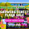 Cartoon figure smelling a flower beside a "GROWERS DIRECT FLASH SALE" sign with a "SALE ENDED" tag, set against a vibrant garden centre background. Flash Sale excitement fills the air even after it’s over!.