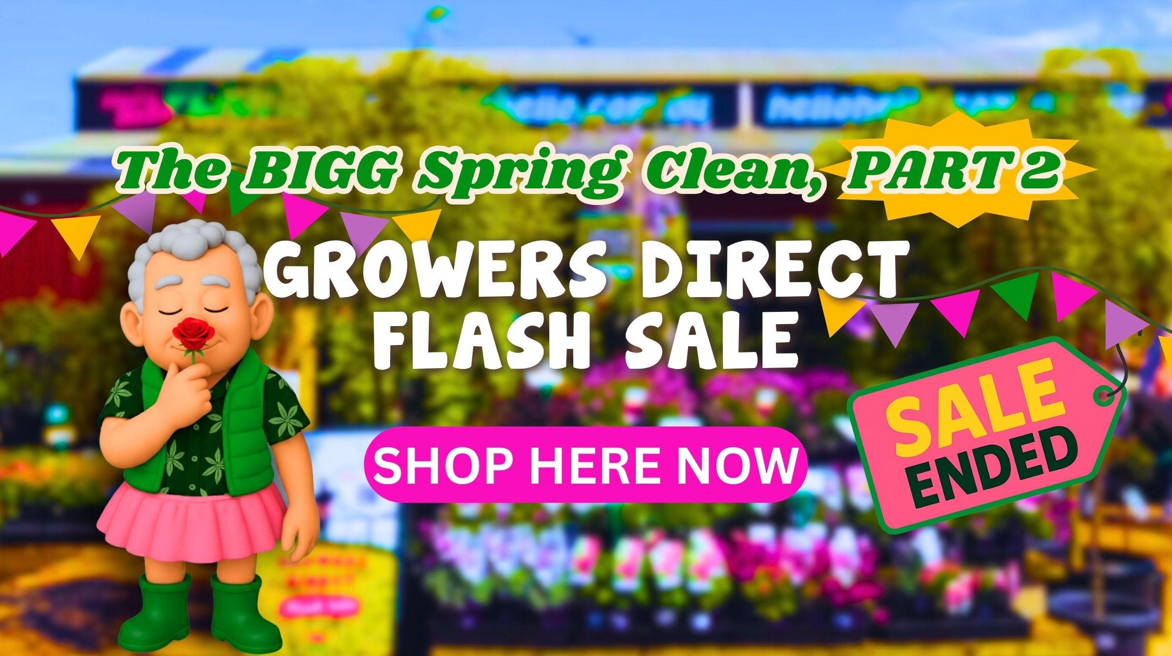 Cartoon figure smelling a flower beside a "GROWERS DIRECT FLASH SALE" sign with a "SALE ENDED" tag, set against a vibrant garden centre background. Flash Sale excitement fills the air even after it’s over!.