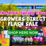 A promotional banner for a Spring Plant Sale at a garden centre reads “Growers Direct Flash Sale,” featuring a cartoon elderly figure and a "Sale Ended" tag.