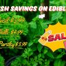 Text overlay on green edible plants reads: "Fresh savings on edibles! Tomato & Herb Specials: Basil £3.99, Chilli £4.99, Parsley £3.99." A sale sign states "SALE ENDED.