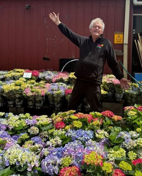 A person stands with arms raised in front of a display of colourful potted flowers, featuring a vibrant Hydrangeas Sale, outside a building.