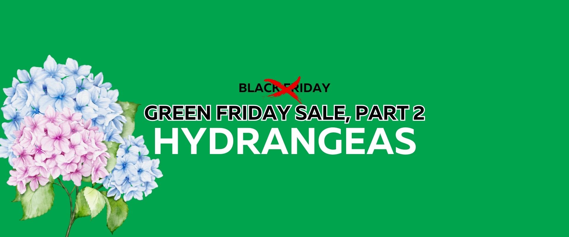 Green background with clusters of hydrangea flowers, and bold text reading "Green Friday Sale, Part 2: Hydrangeas," with "Black Friday" crossed out to highlight the Green Friday Sale.