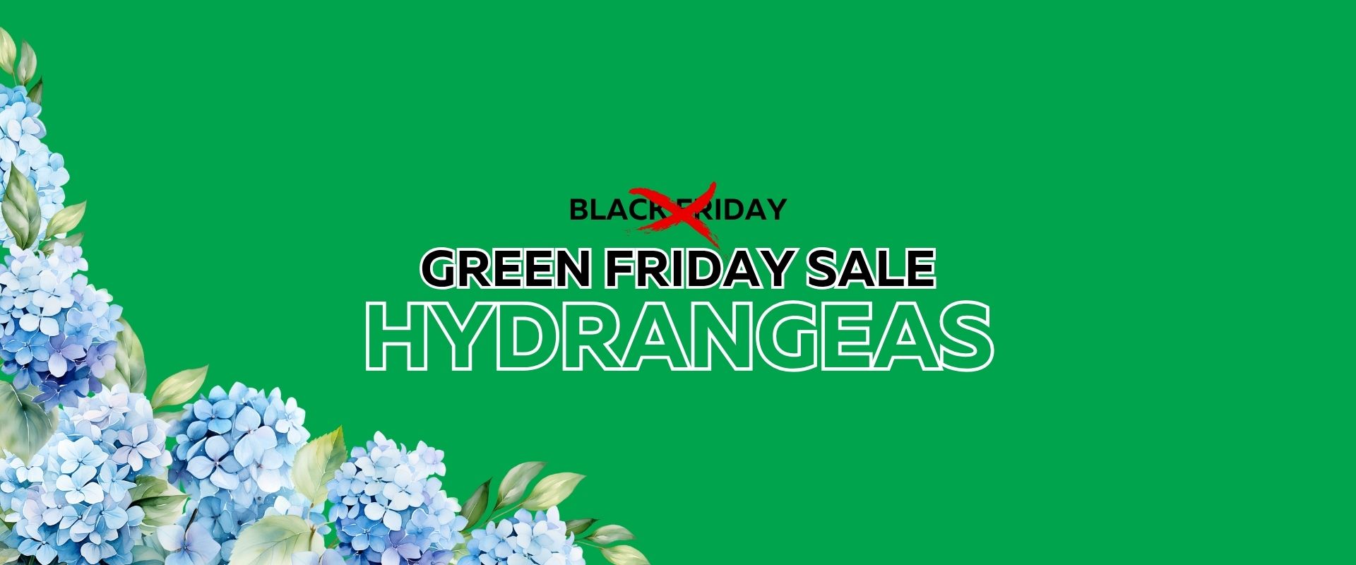 Green background with blue hydrangeas in the corners and text reading "Green Friday Flash Sale Hydrangeas," with "Black" crossed out above "Friday.