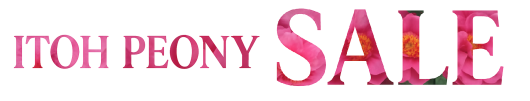 Text reads "Itoh Paeonia Sale," with the word "SALE" filled with an image of pink peony flowers.