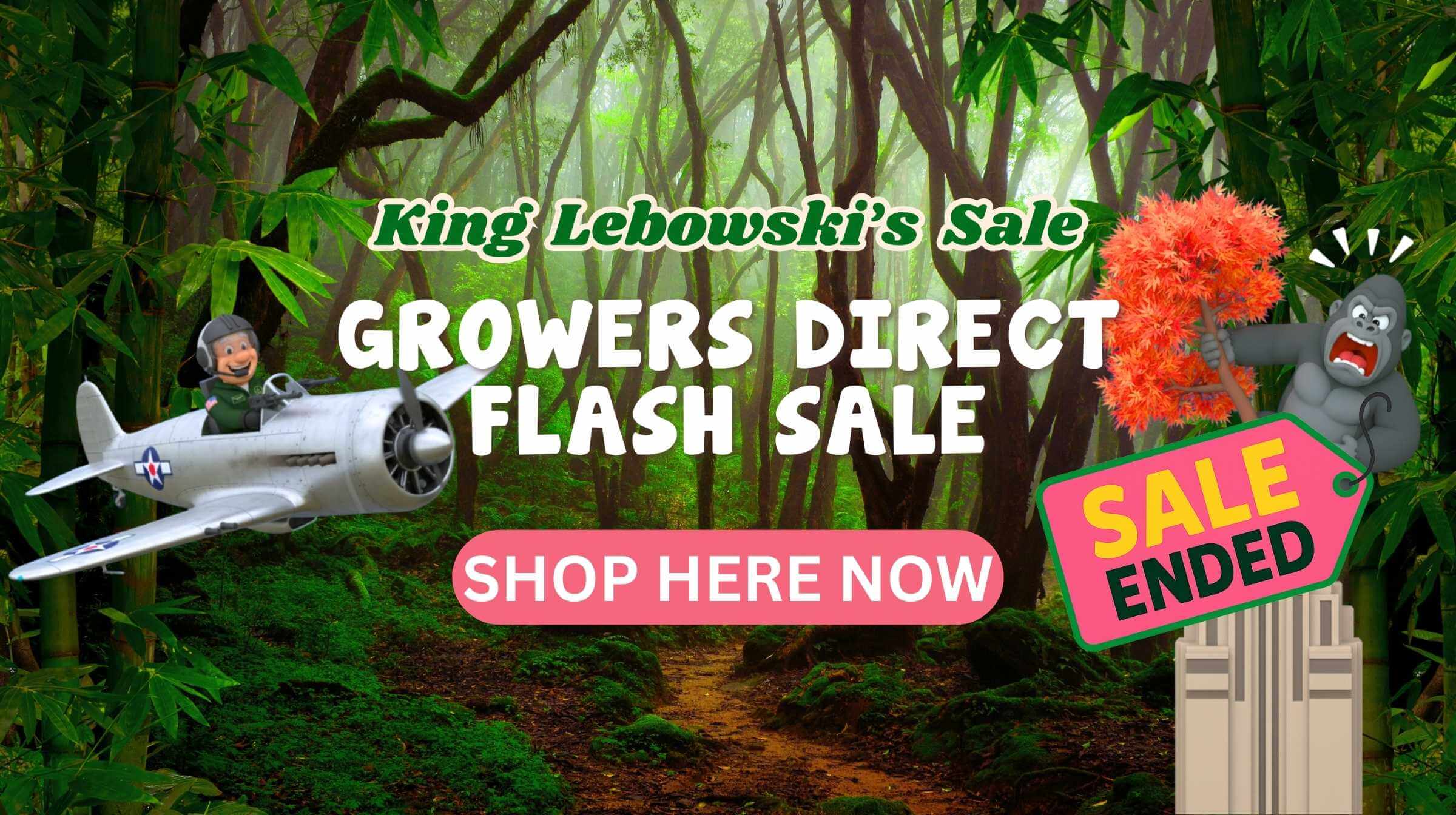 A dense jungle scene with "King Lebowski's Sale Growers Direct Flash Sale" text, cartoon characters, and a "Shop Here Now" button—a lively setting highlighting the limited-time Flash Sale and a “Sale Ended” sign.