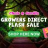 Animated figures of an elderly woman and a gorilla display signs reading "Chris & Gorilla" and "Gorilla & Chris," while text highlights the Growers Direct Flash Sale and a bold "SALE ENDED" label covers the gorilla’s sign.