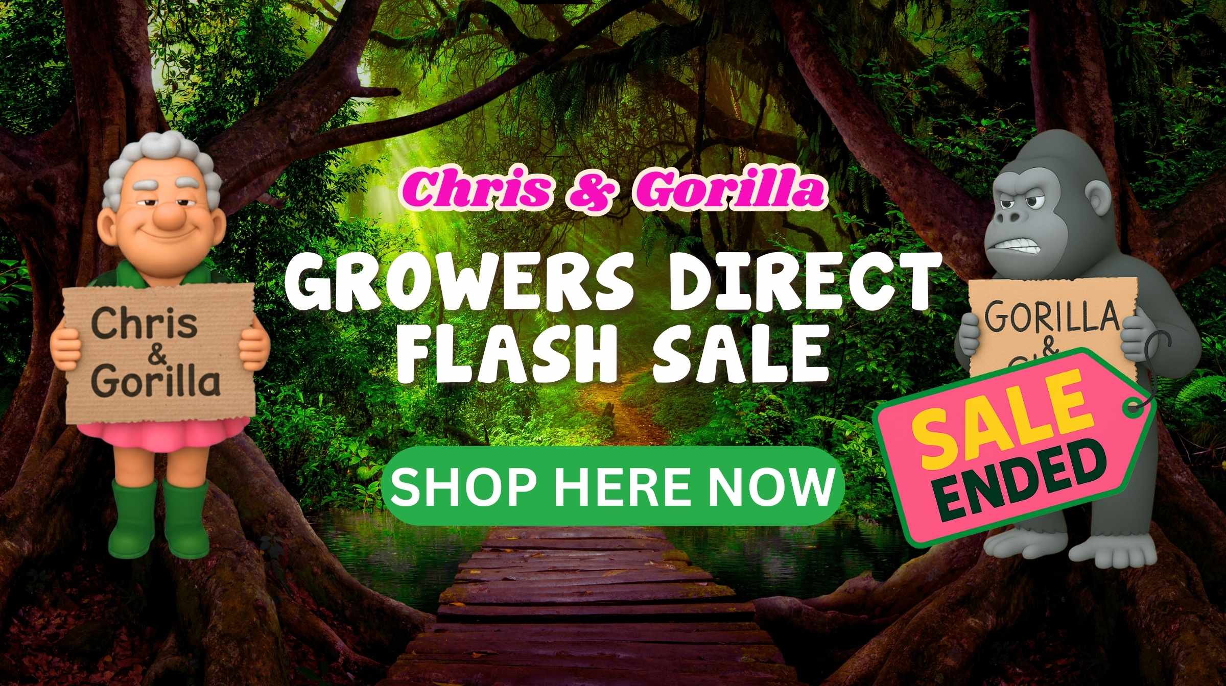 Animated figures of an elderly woman and a gorilla display signs reading "Chris & Gorilla" and "Gorilla & Chris," while text highlights the Growers Direct Flash Sale and a bold "SALE ENDED" label covers the gorilla’s sign.