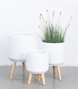 Three GardenLite Corrugated Cylinder with Legs White XS 25x25cm planters, featuring a corrugated design and wooden legs, are placed on a grey floor; the largest displays tall green grass with brown-tipped blades.