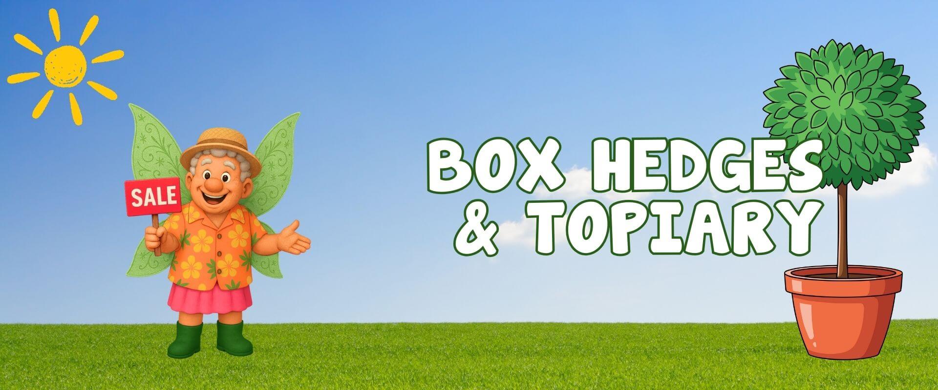 Cartoon figure holding a "Sale" sign stands next to text "Box Hedges & Topiary" and a potted topiary, set on a grassy field with blue sky—perfect for the Festive Flash Plant Sale.