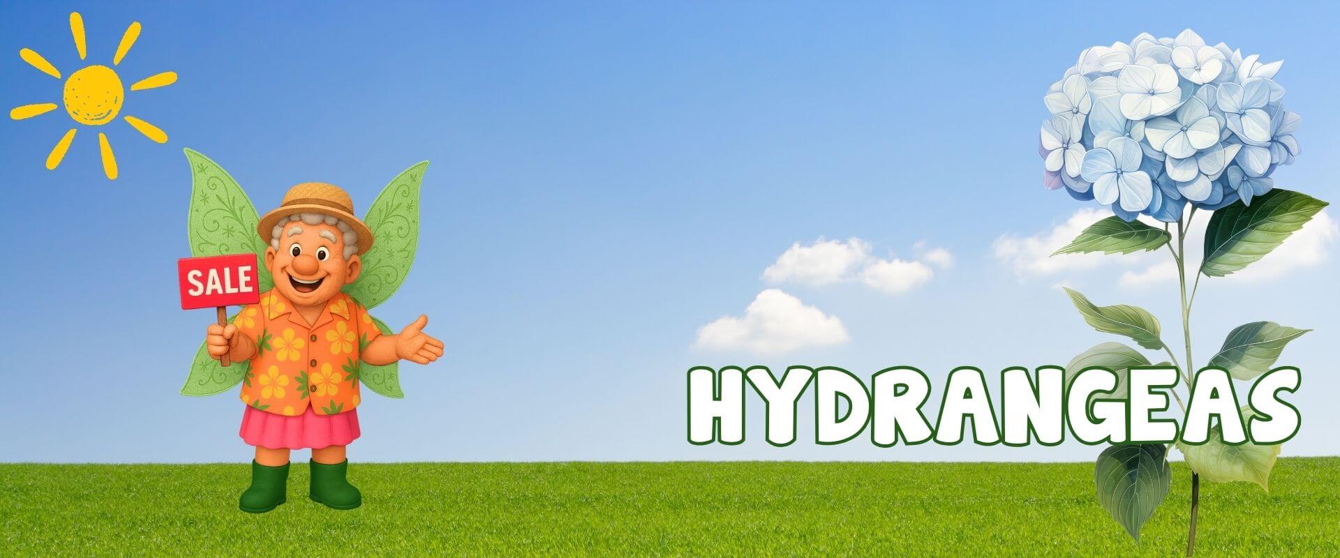 Illustration of a fairy holding a "SALE" sign next to a large hydrangea flower, with "HYDRANGEAS" in bold letters on a grassy background, celebrating a Festive Flash Plant Sale.