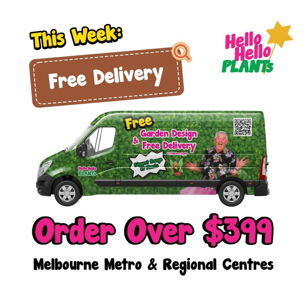 A green Hello Hello Plants delivery van advertises a Holiday Plant Sale with free garden design and delivery for orders over £399 in Melbourne Metro and regional centres.