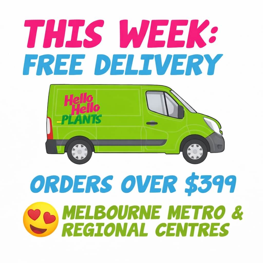 Free home delivery over $300