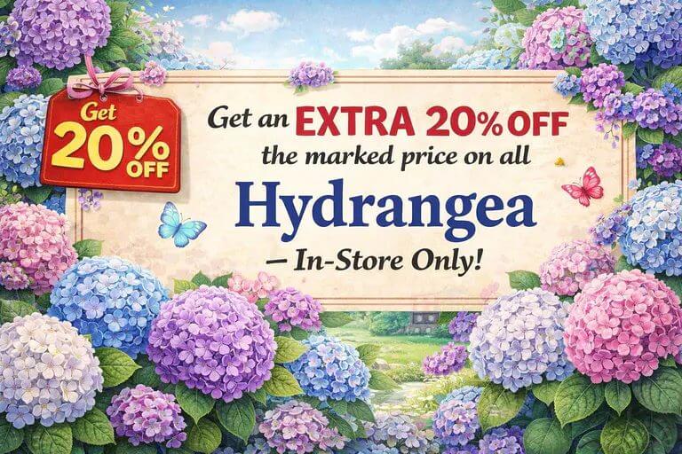 A promotional sign at the garden centre, surrounded by colourful hydrangeas and butterflies, advertises an extra 20% off hydrangeas in-store, with a bright 20% off tag on display.