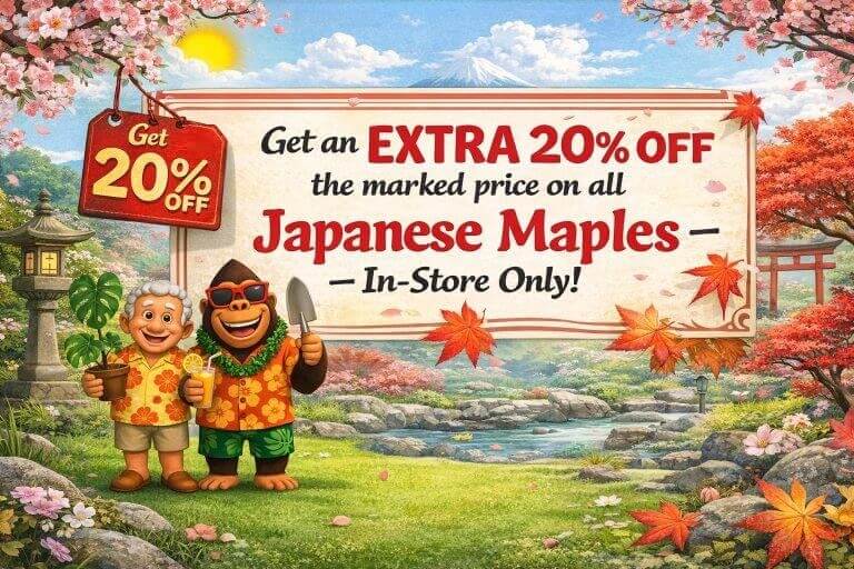 Promotional sign at the Plant Nursery offers an extra 20% off Japanese maples in-store, with cartoon characters in a garden featuring cherry blossoms and a pond.
