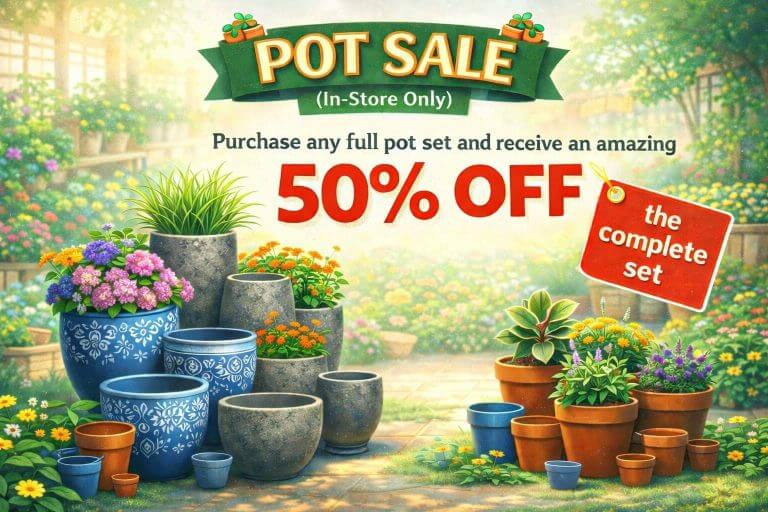 Display of various garden pots with a sign advertising a Holiday Plant Sale—enjoy 50% off any full pot set, all against a lush garden backdrop.