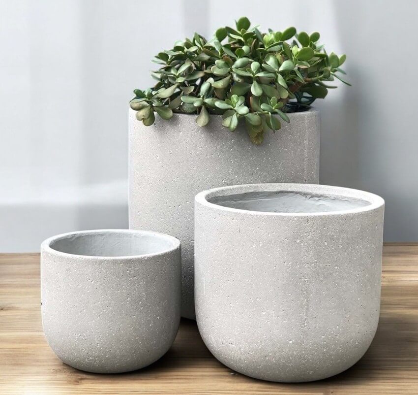 Three minimalist grey concrete planters sit on a wooden surface; the largest contains a green succulent, while the other two planters are empty.