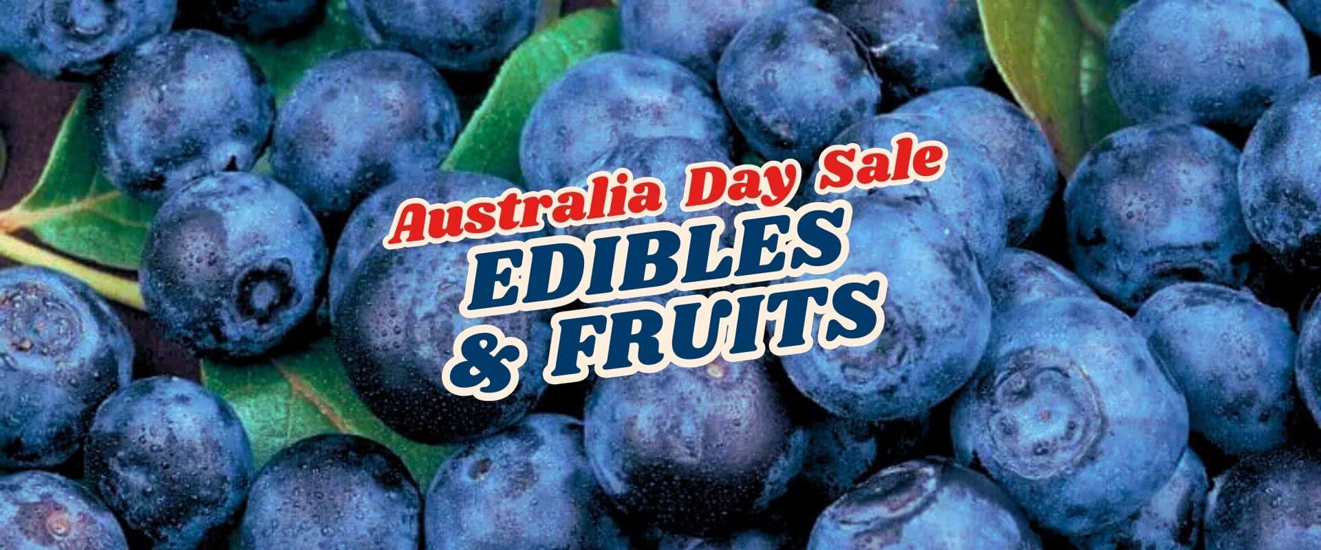 Close-up of fresh blueberries with green leaves and overlaid text reading "Australia Day Flash Sale - Part 2: Edibles & Fruit.