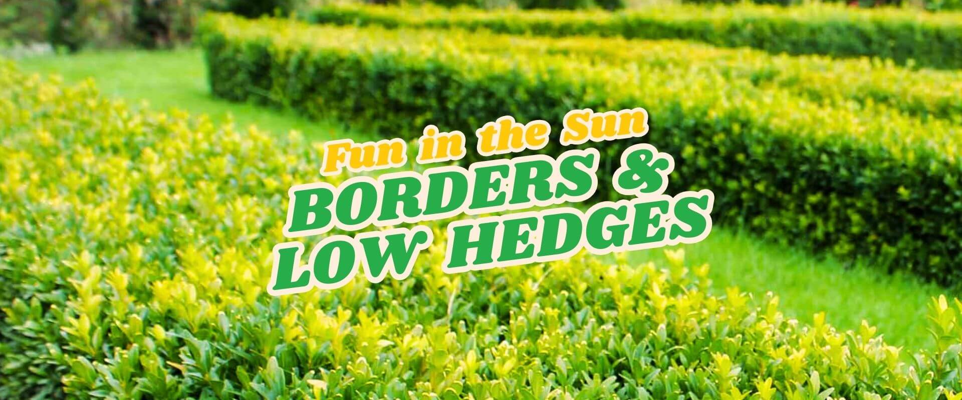 Neatly trimmed low hedges form geometric borders in a green garden with text overlay: "FUN IN THE SUN Flash Sale: Borders & Low Hedges.