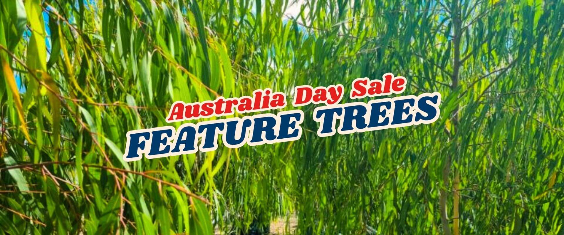 Green leafy trees with a sign that reads "Australia Day Flash Sale - Part 2: FEATURE TREES" in bold letters across the centre.