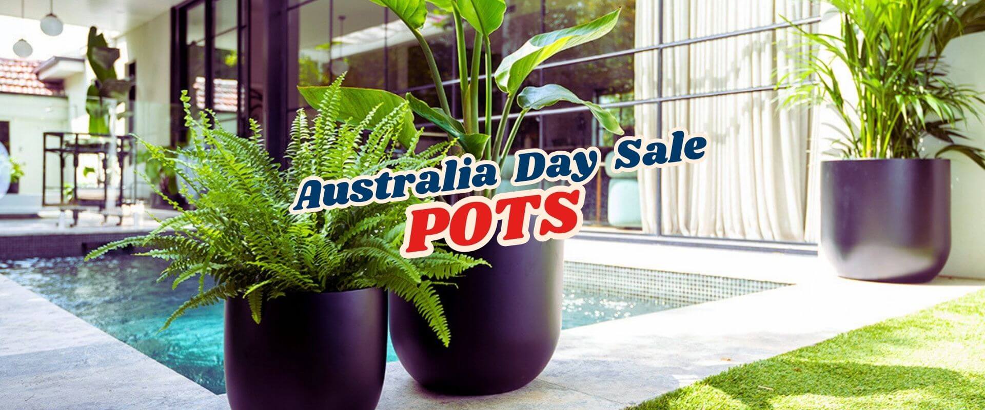 Potted plants by a poolside with large text overlay reading "Australia Day Sale POTS"—celebrate with our Green Friday Sale Part 2 offers.