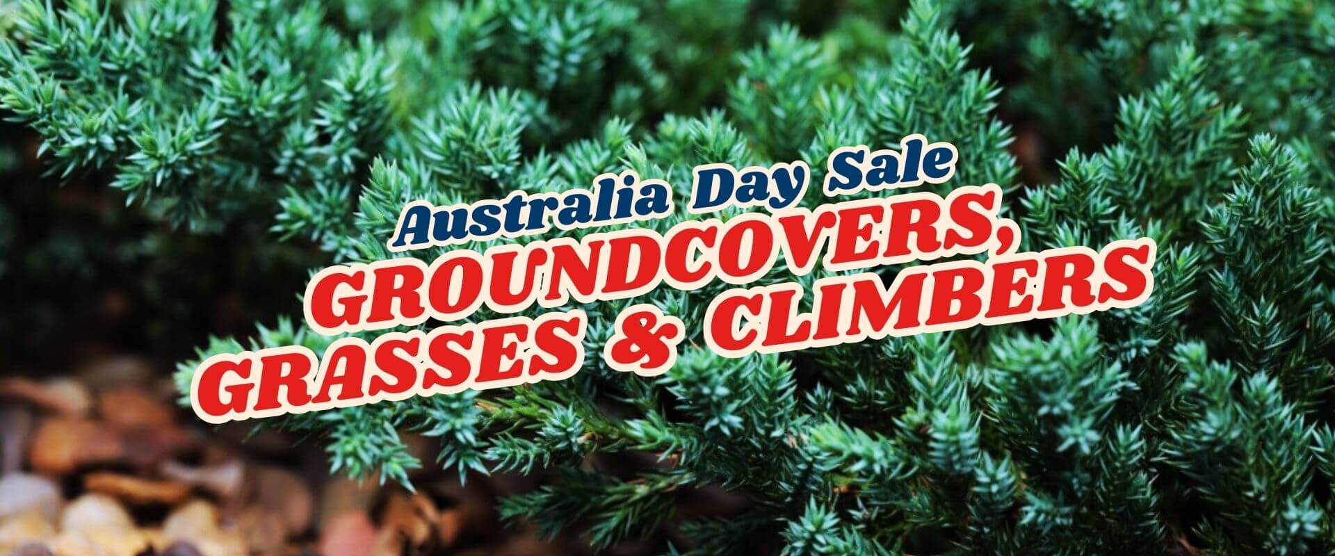 Text overlay on green foliage background reads: "Green Friday Sale Part 2 – Australia Day Sale. Groundcovers, Grasses & Climbers.